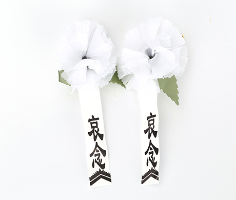 胸前,小白,白花